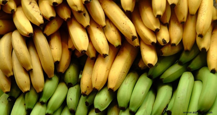 Receta:Barco adoptivo de bananas 