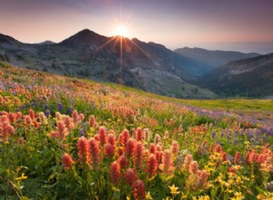 Curso Online de Fotografía al Aire Libre: Outdoor Photo School con el Experto Adam Barker