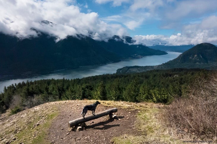 Fotografía al aire libre:una sesión de preguntas y respuestas con Jonathan House 