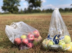 Guía esencial: Todo lo que debes saber sobre Huber Orchard