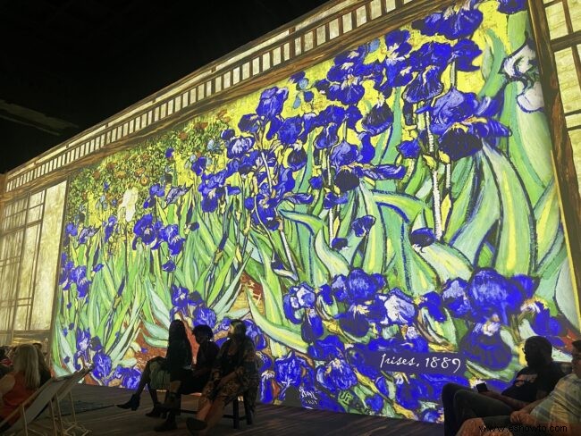 Experiencia inmersiva de Van Gogh