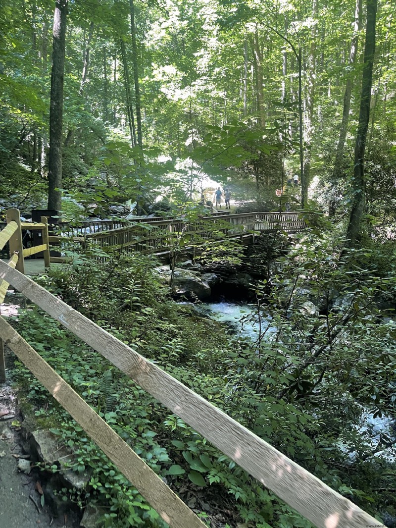 Cosas que debe saber al ir de excursión a Anna Ruby Falls