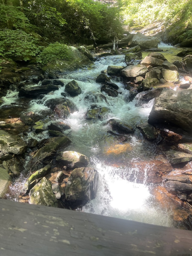 Cosas que debe saber al ir de excursión a Anna Ruby Falls