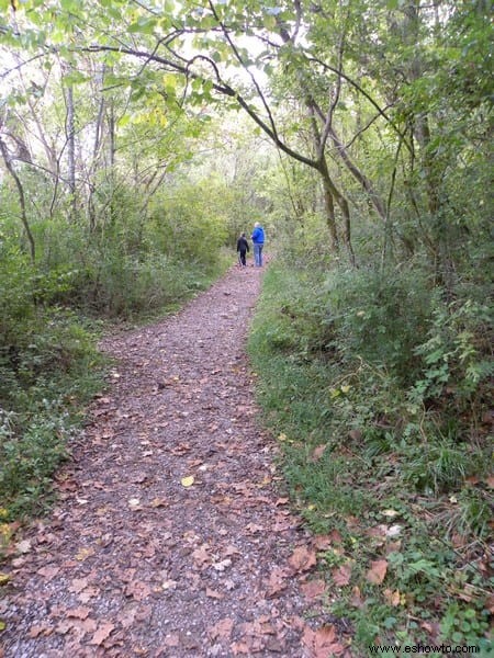 Centro de naturaleza Ijams, Knoxville TN 