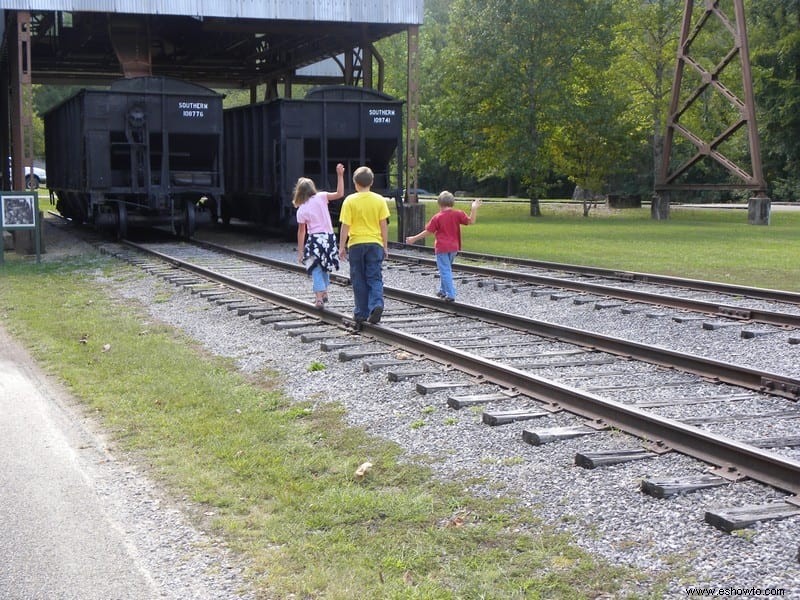 Ferrocarril Big South Fork 