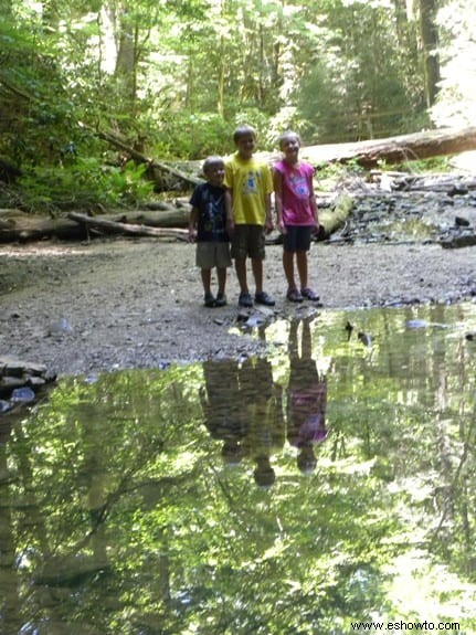 Yahoo Falls, Kentucky 