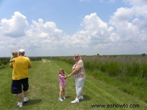 Paynes Prairie – Gainesville, Florida 