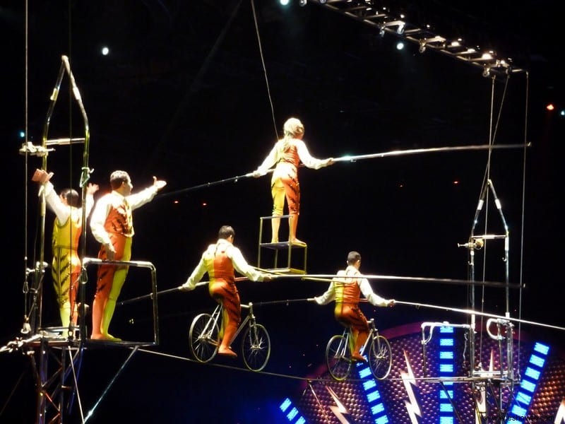 Experiencia en el circo Ringling Bros 