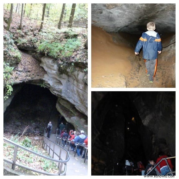 Excursiones a la cueva del mamut Kentucky 