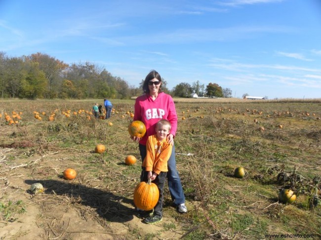 Laberintos de maíz y parcelas de calabazas 