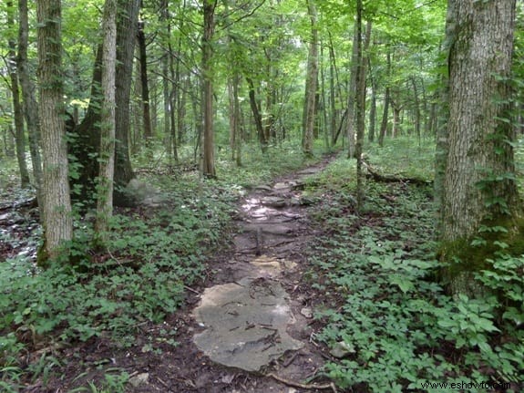 Senderismo por el sendero Kentucky River Palisades Trail