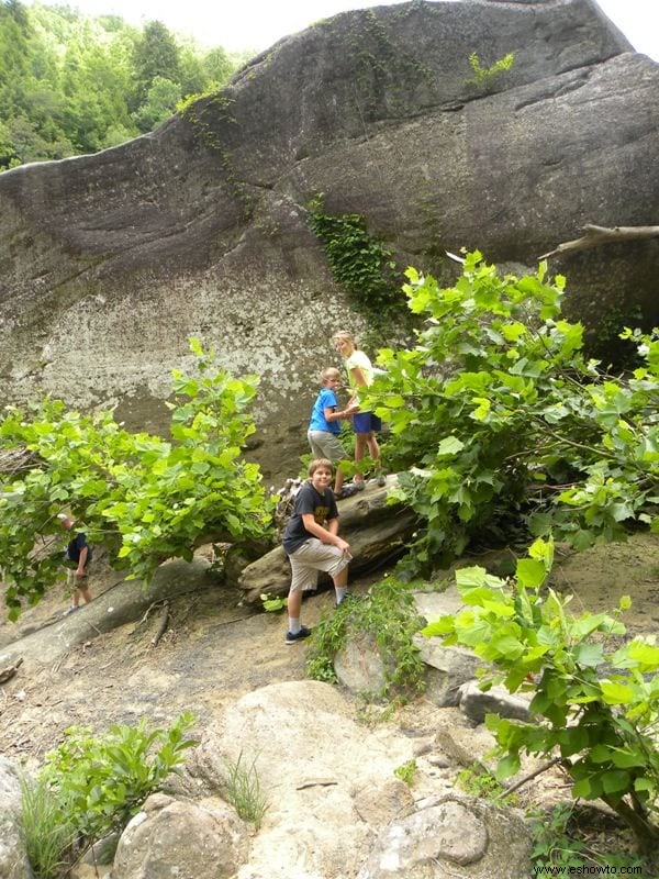 Senderismo en Eagle Falls:Corbin, Kentucky