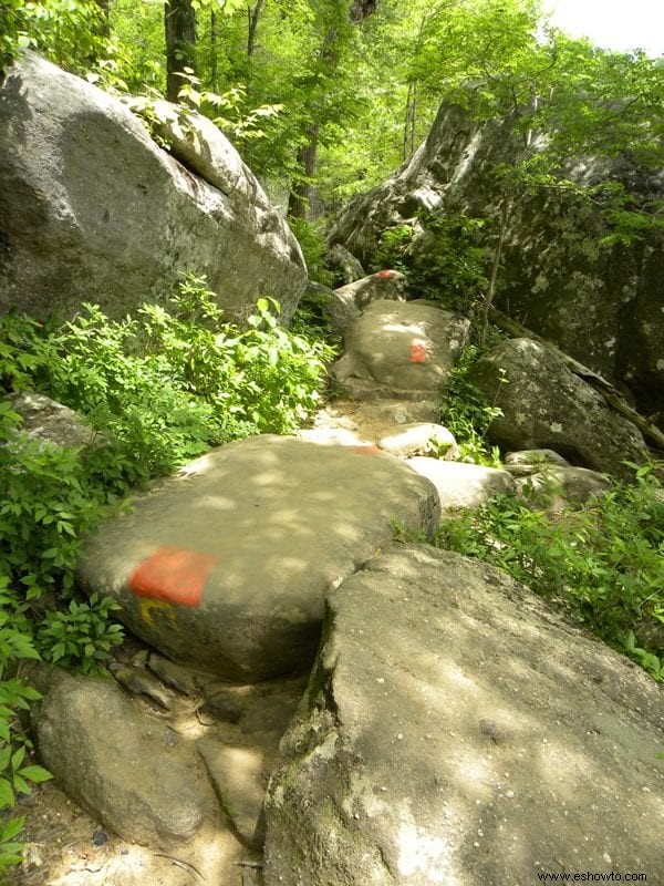 Senderismo en Eagle Falls:Corbin, Kentucky