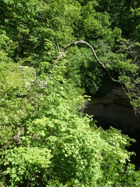 De visita en el parque estatal Clifty Falls, Indiana