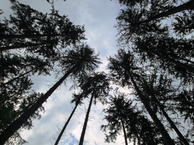 Visita al lugar de nacimiento de James Buchanans