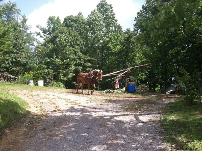 Visitando Muddy Pond en Monterey, Tennessee