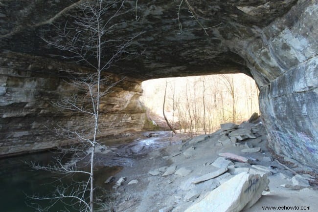 Arco natural de Rock House:Jamestown, Kentucky 