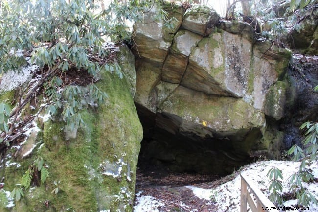 Senderismo Honeymoon Falls Trail en Pine Mountain State Park 