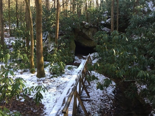 Senderismo Honeymoon Falls Trail en Pine Mountain State Park 