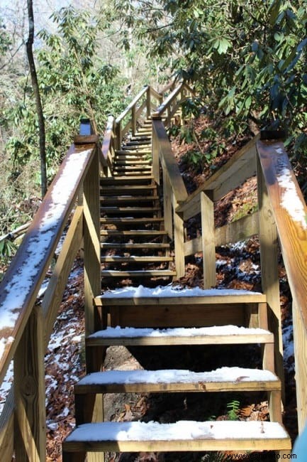 Senderismo Honeymoon Falls Trail en Pine Mountain State Park 