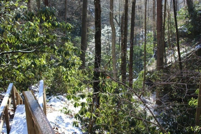 Senderismo Honeymoon Falls Trail en Pine Mountain State Park 