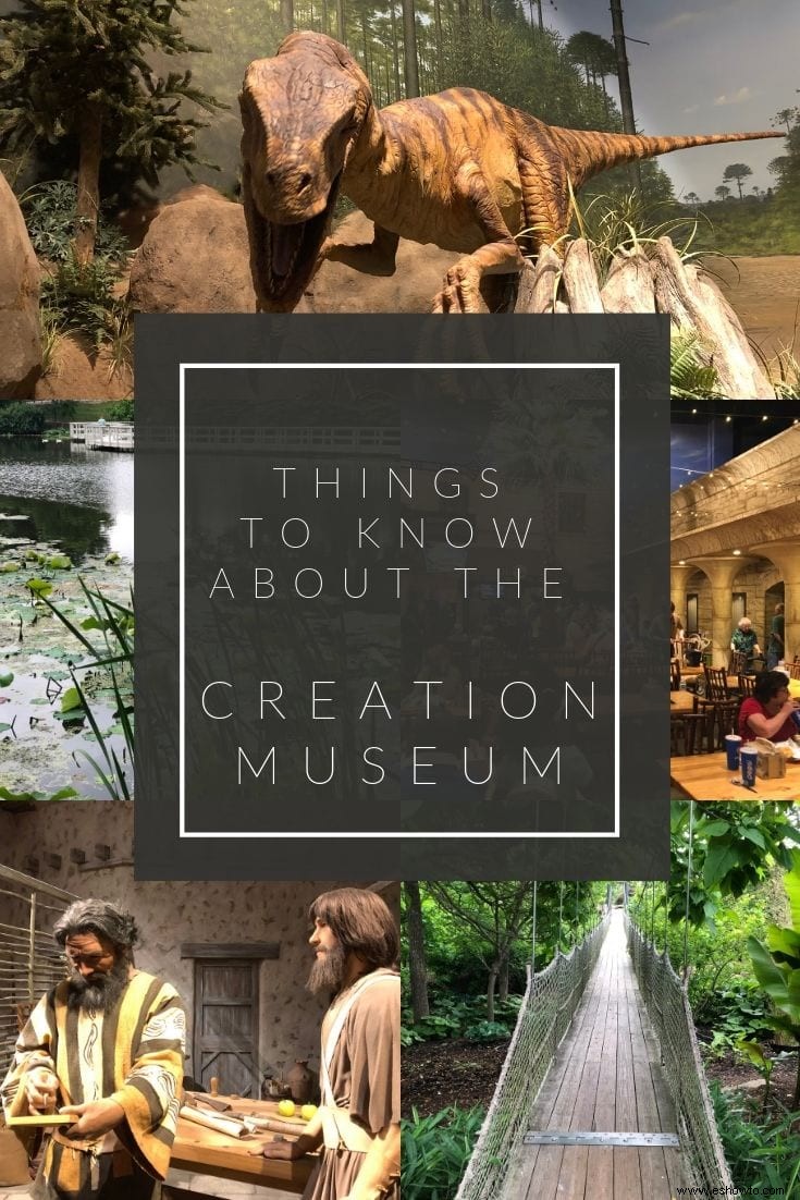 10 cosas que debes saber sobre el Museo de la Creación 