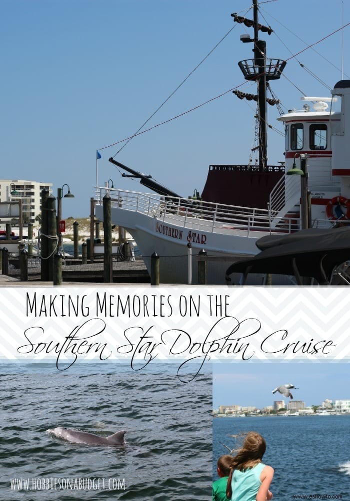 Creando recuerdos en el crucero Southern Star Dolphin 