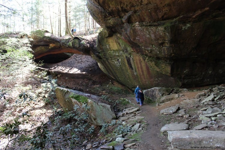 Yahoo Falls y arco de piedra:Whitley City, Kentucky 