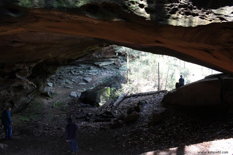 Yahoo Falls y arco de piedra:Whitley City, Kentucky 