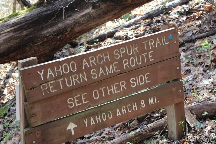 Yahoo Falls y arco de piedra:Whitley City, Kentucky 