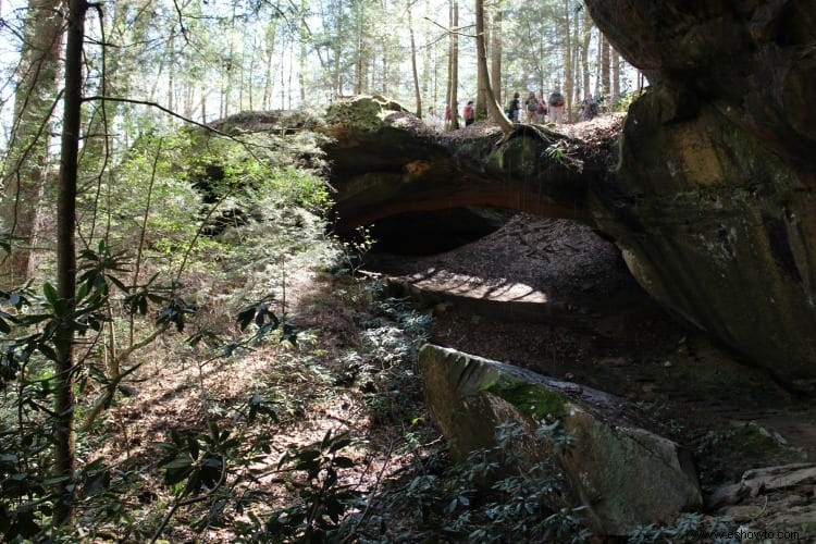 Yahoo Falls y arco de piedra:Whitley City, Kentucky 