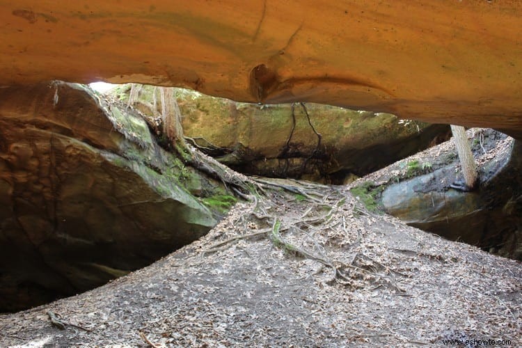 Yahoo Falls y arco de piedra:Whitley City, Kentucky 