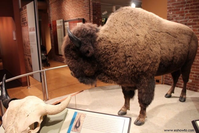 Museo de Historia Frazier, Louisville Kentucky 