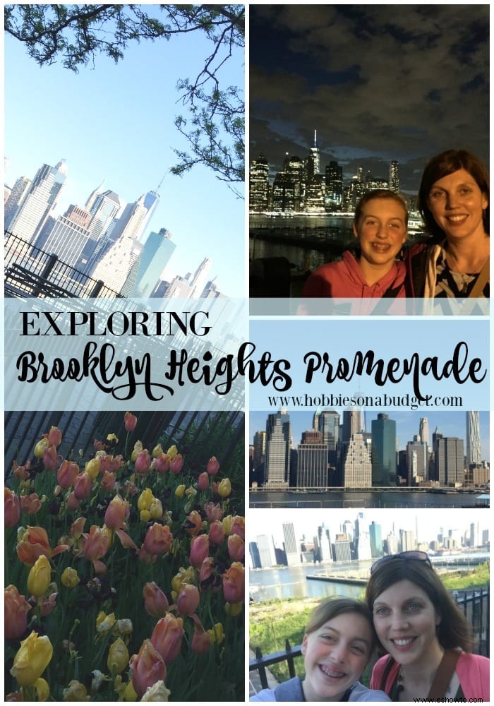 Visita al Paseo Marítimo de Brooklyn Heights