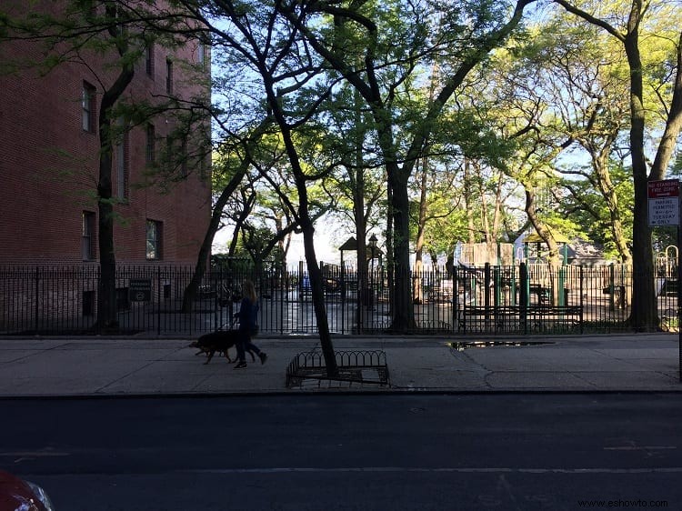 Visita al Paseo Marítimo de Brooklyn Heights