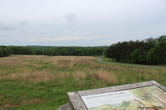 Explorando la tierra entre los lagos:Kentucky