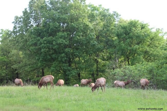 Explorando la tierra entre los lagos:Kentucky