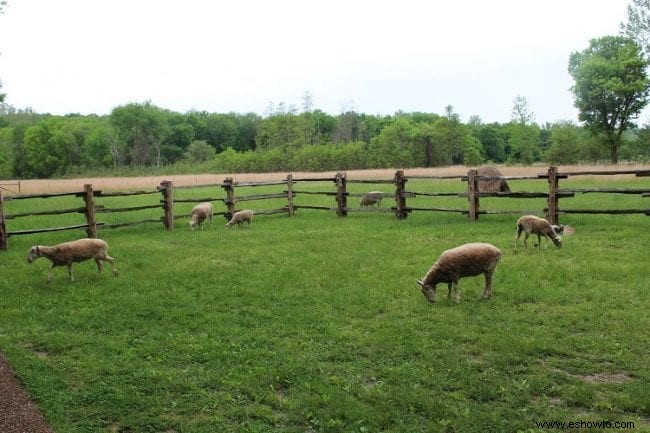 Explorando la tierra entre los lagos:Kentucky