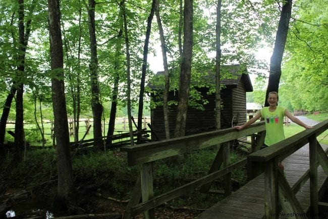 Explorando la tierra entre los lagos:Kentucky