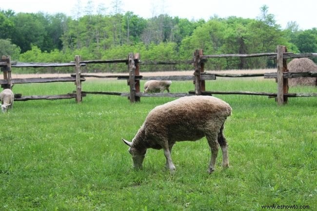 Explorando la tierra entre los lagos:Kentucky