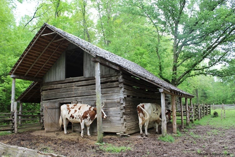 Explorando la tierra entre los lagos:Kentucky