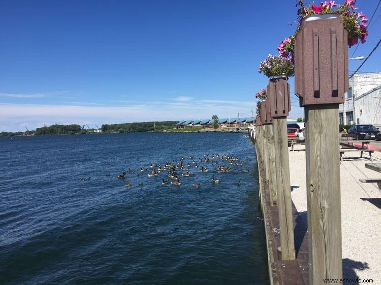 Dónde comer en el lago Erie, Pensilvania