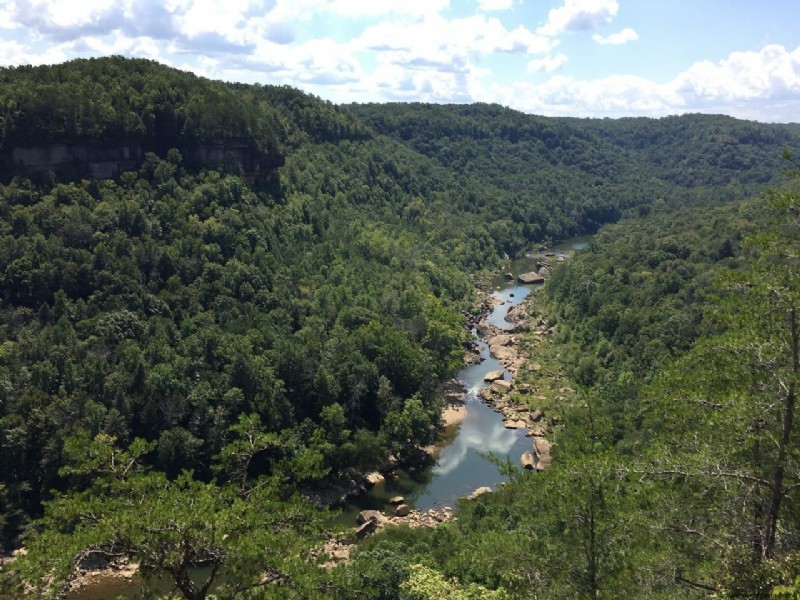 9 Cosas que hacer en el Bosque Nacional Daniel Boone