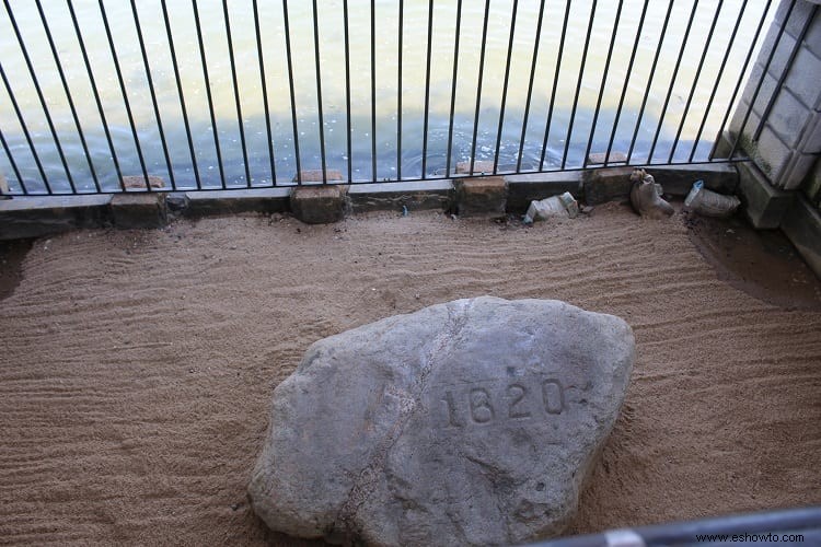 Qué debe saber cuando visite Plymouth Rock