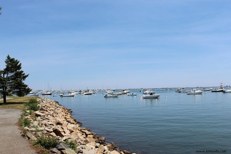 Qué debe saber cuando visite Plymouth Rock