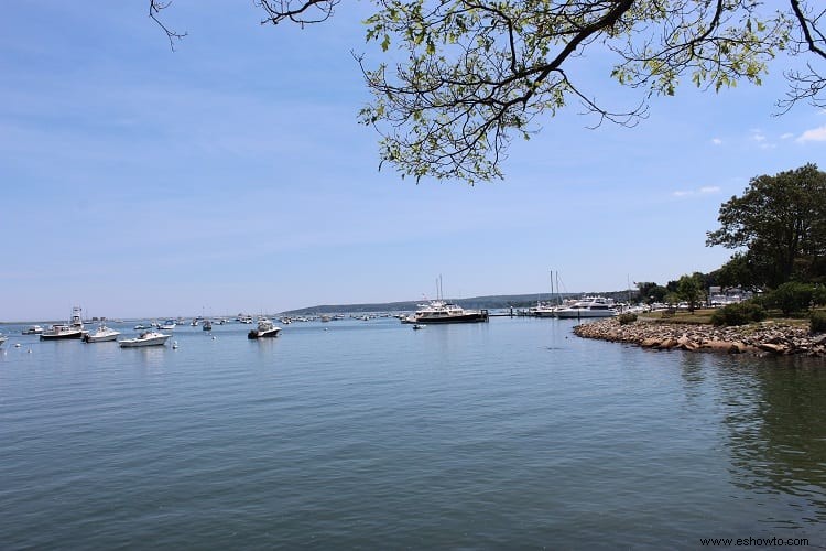 Qué debe saber cuando visite Plymouth Rock