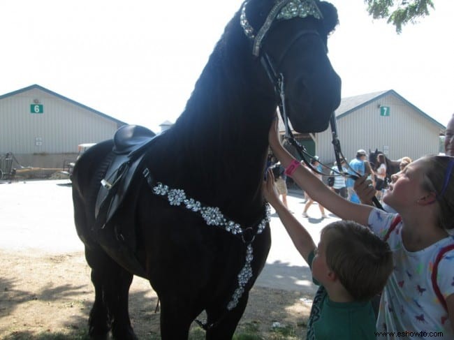 Jubileo de plata de Breyerfest 2014:Lexington, Kentucky