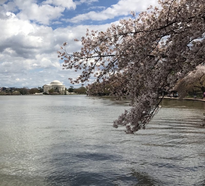 Aventuras de viaje por carretera en Washington DC