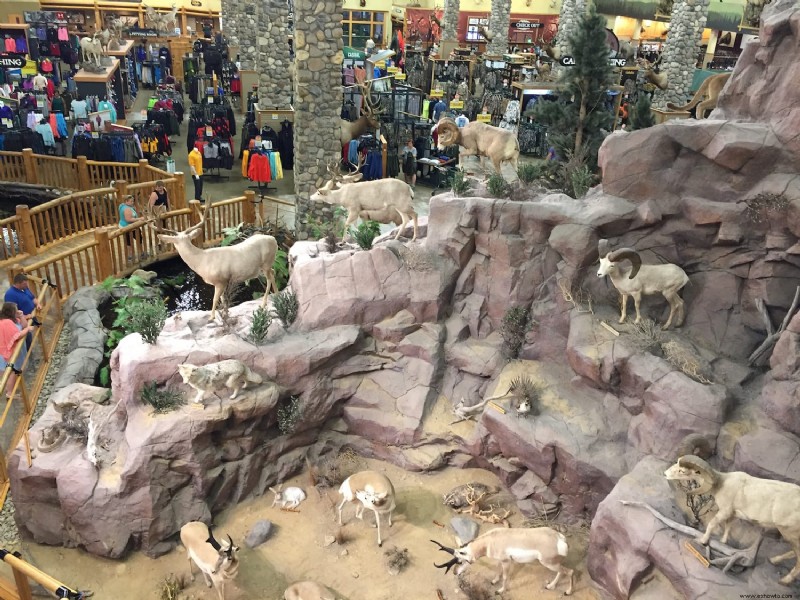 Por qué Cabelas es la escapada perfecta para un viaje por carretera