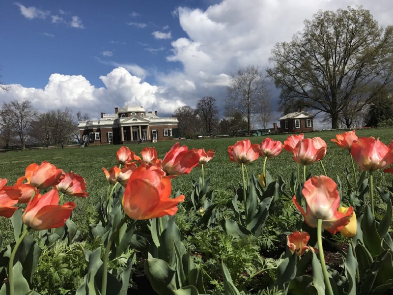 Cosas que debe saber sobre Monticello